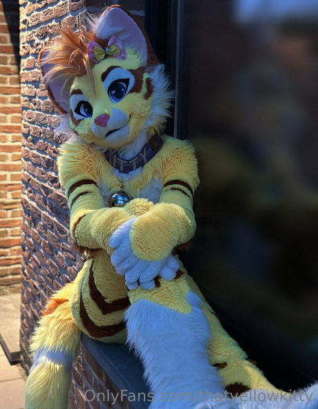 thatyellowkitty Brüste OnlyFans