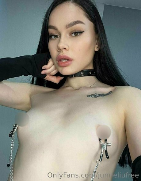 junneliufree OnlyFans Sextape