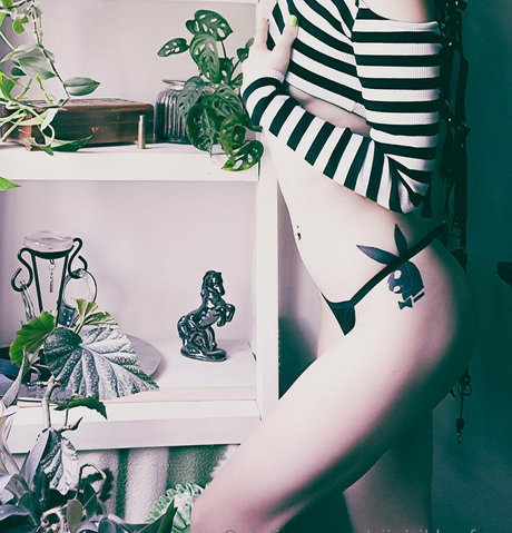 siipirikko free OnlyFans geleakte Pornografie