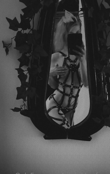 siipirikko free Nacktbilder geleakt OnlyFans Nacktporno