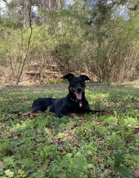 embertay Nacktbilder von OnlyFans