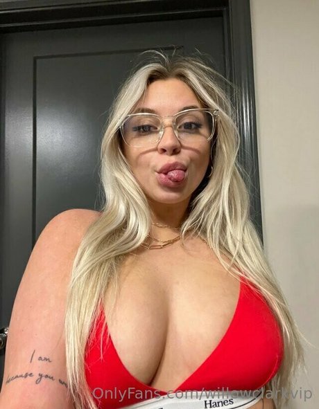 willowclarkvip Nacktbilder von OnlyFans
