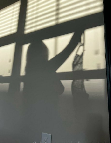 willowclarkvip OnlyFans-Fotos