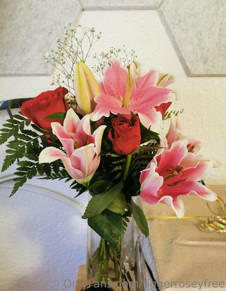 tiggerroseyfree XXX Leak OnlyFans