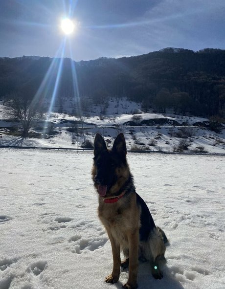 west mia Nacktbilder OnlyFans geleakt