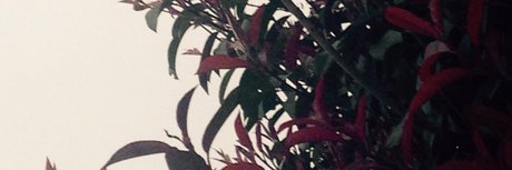 osiris Nacktbilder von OnlyFans geleakt