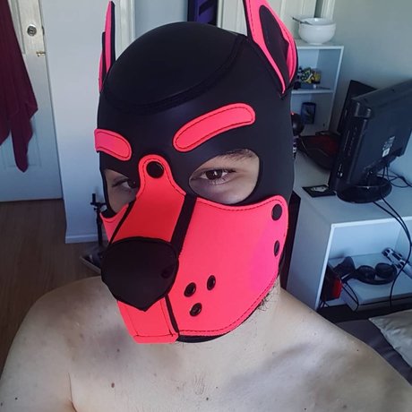 Quartz the Pup Po OnlyFans
