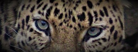 _Pumpkin Cream_ Porn OnlyFans Leak