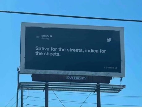 Prohibited OnlyFans Leak