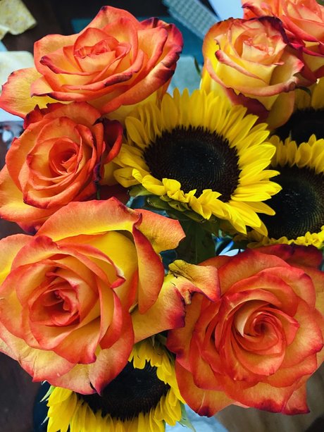 Geni OnlyFans geleakte Bilder