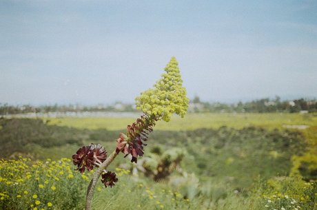 Hot Hen Woman OnlyFans schlank