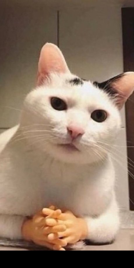 Valenz Model OnlyFans Foto