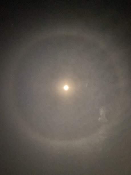 Valenz NurlyFans-Brüste