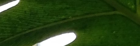 QuantumOrgasms Nacktbilder von OnlyFans geleakt