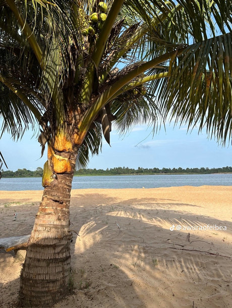 Q Ree OnlyFans Fotos