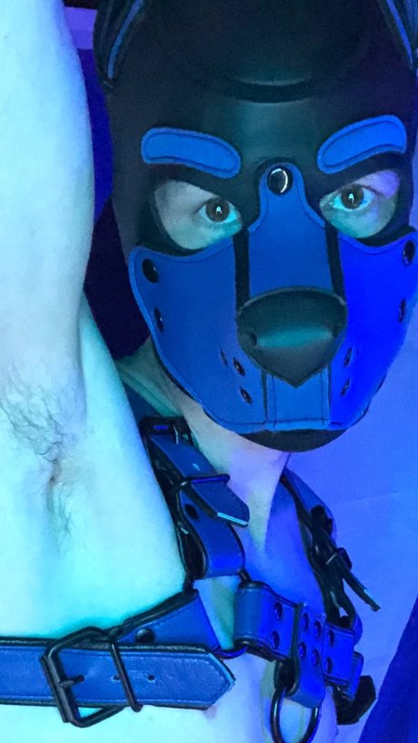 Pup Scrote OnlyFans-Bilder