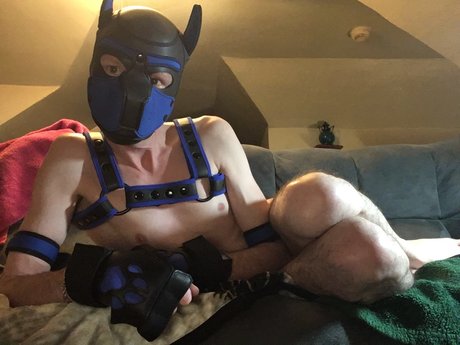 Pup Scrote Nacktbilder von OnlyFans