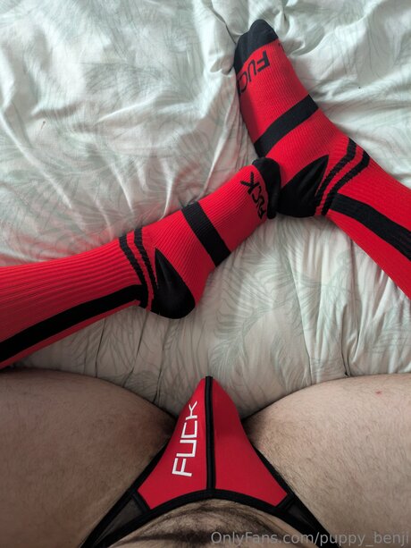Pup Benji OnlyFans Arsch Leak