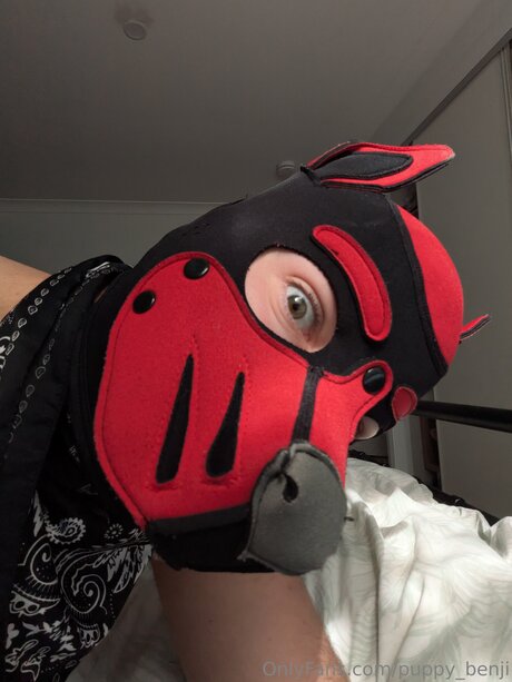 Pup Benji Leaks von Nacktbildern auf OnlyFans