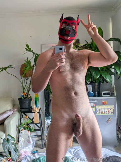 Pup Benji OnlyFans-Komplettinhalte