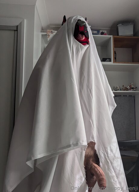 Pup Benji Nackt OnlyFans