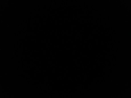 Dany Gomes Leaked OnlyFans Sex