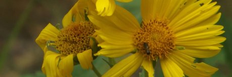 Rain night OnlyFans Archiv