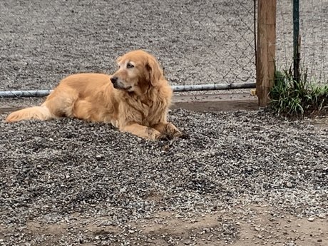 Michael Scott OnlyFans XXX