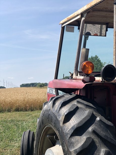 Dmich NurlyFans-Brüste