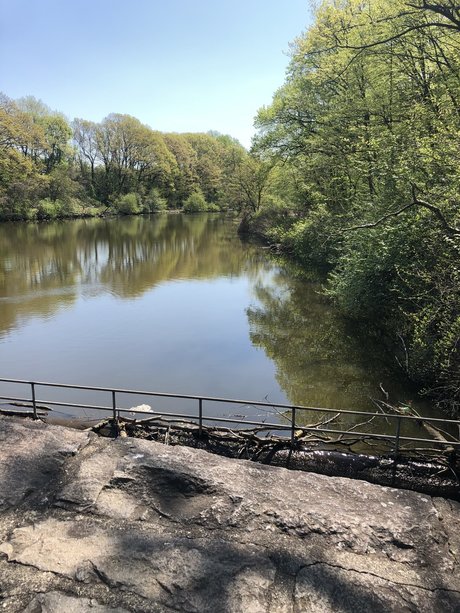 RainMan95 OnlyFans-Bilder