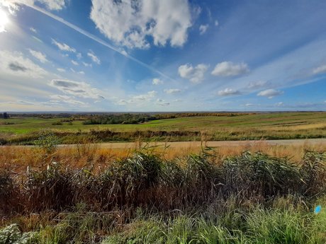 Rainbow James OnlyFans XXX