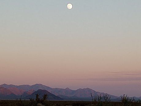 DivineMissAo OnlyFans XXX