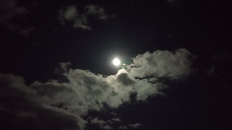 Don Doin_ OnlyFans Inhalte