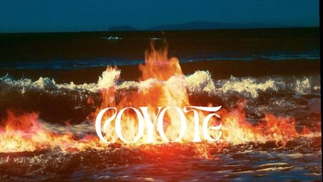 c o y o t e Strip OnlyFans