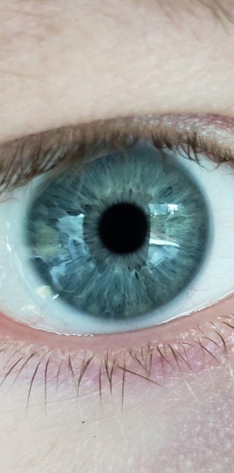 Remotedick xxx OnlyFans Nacktbilder