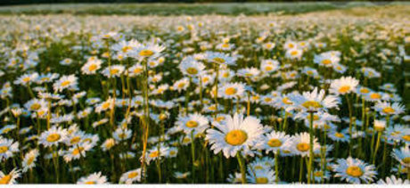 Remington Jane Leaked OnlyFans Sex Tape