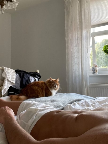 Regico OnlyFans kostenlos geleakt