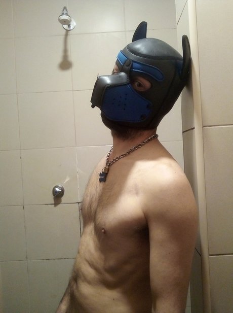 pup Regaleiro OnlyFans Striptease