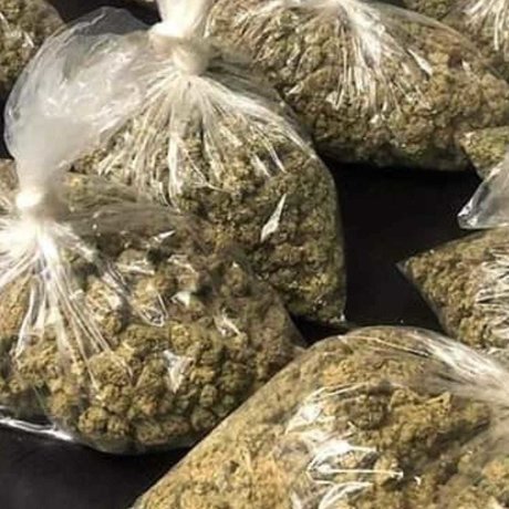 Red Tage1685 Joi OnlyFans