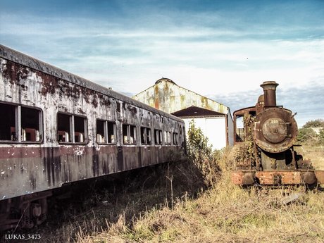 red scorpions Strip OnlyFans