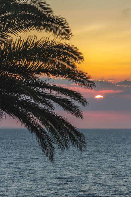 Princess Rea Nacktbilder geleakt OnlyFans