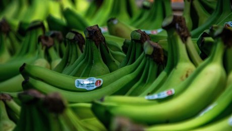 Robert Fretz Sexy OnlyFans