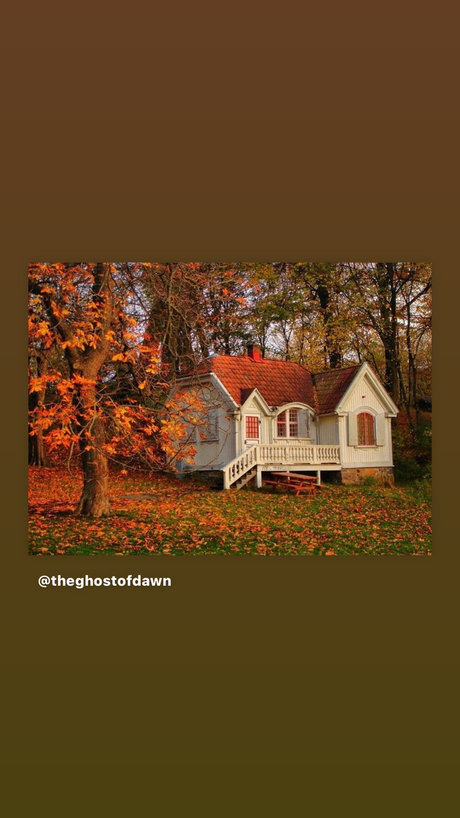 Ed s Place_ Leaked OnlyFans Nacktbilder