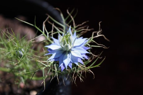 Rude OnlyFans Dirtyship geleakt