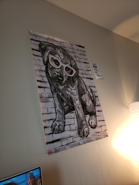 TacoPup OnlyFans geleakte Brüste