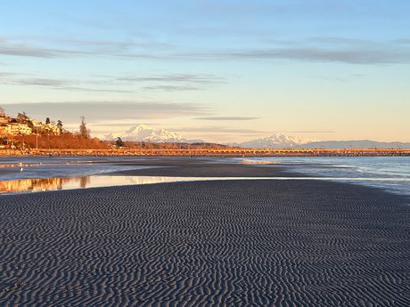 Rover Woodsdale Brüste OnlyFans