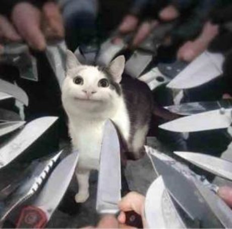 RosieTeet XXX OnlyFans