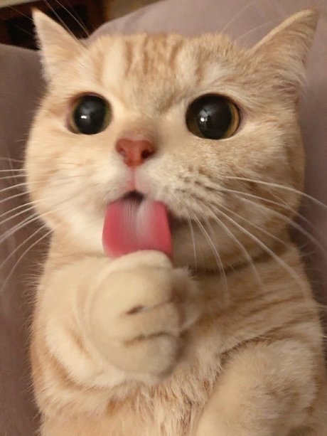 SAME_ OnlyFans-Leaks