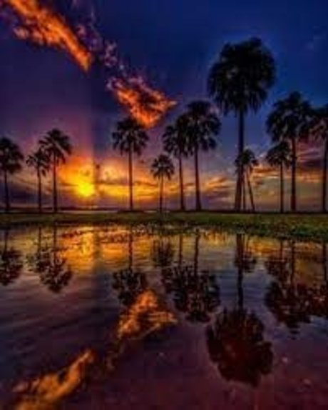 SaftigerDaddy Bilder OnlyFans