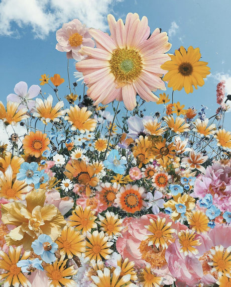 sadgrrlx OnlyFans gratis